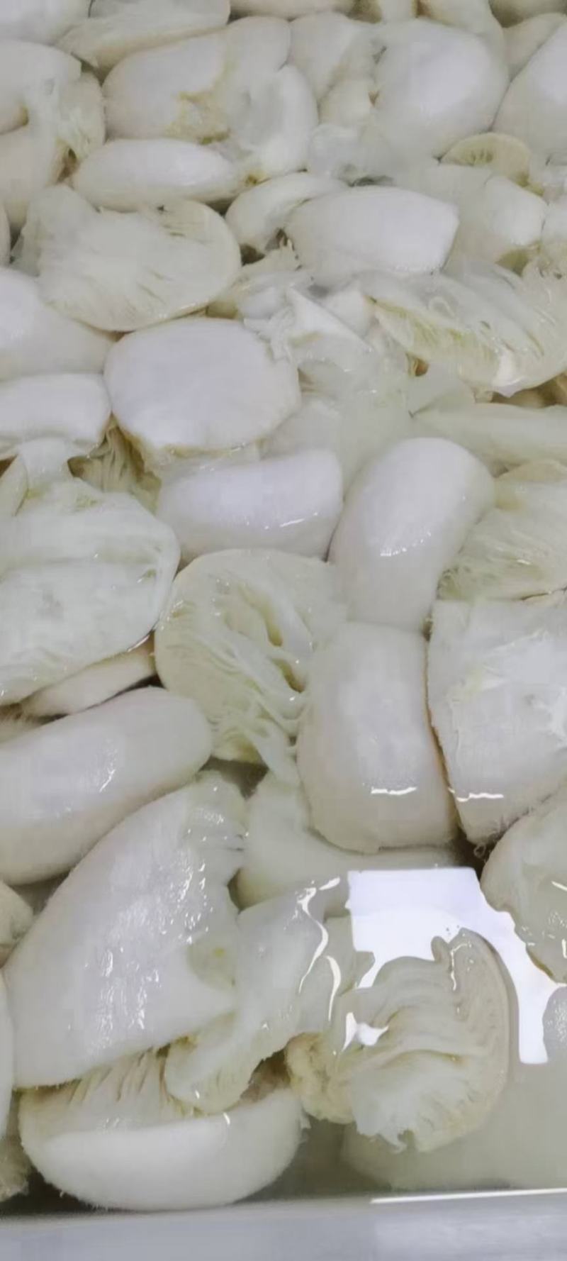 牛百叶，白毛肚，火锅食材，白百叶，白整肚