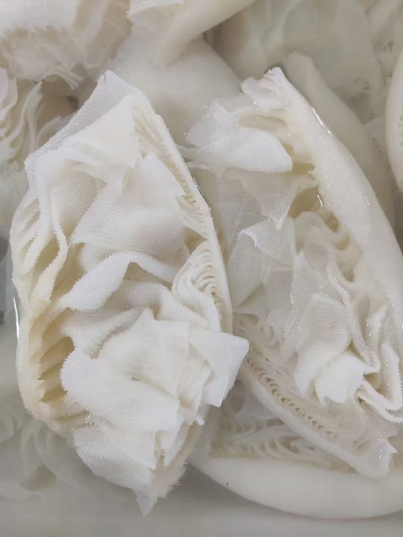 牛百叶，白毛肚，火锅食材，白百叶，白整肚