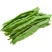 四季豆种子春秋四季播扁宽王绿芸豆籽架豆菜园高产蔬菜豆角孑