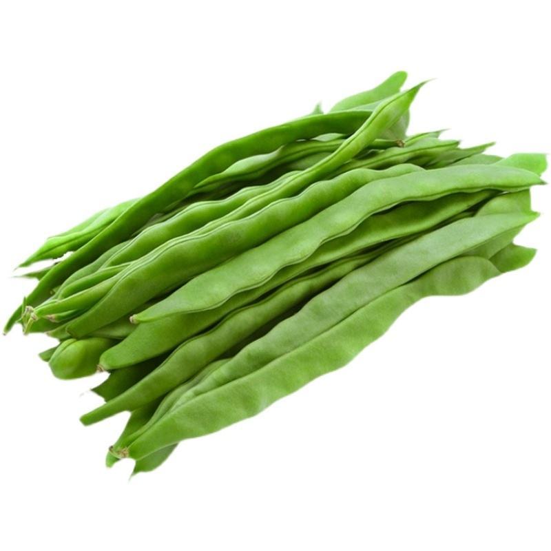 四季豆种子春秋四季播扁宽王绿芸豆籽架豆菜园高产蔬菜豆角孑