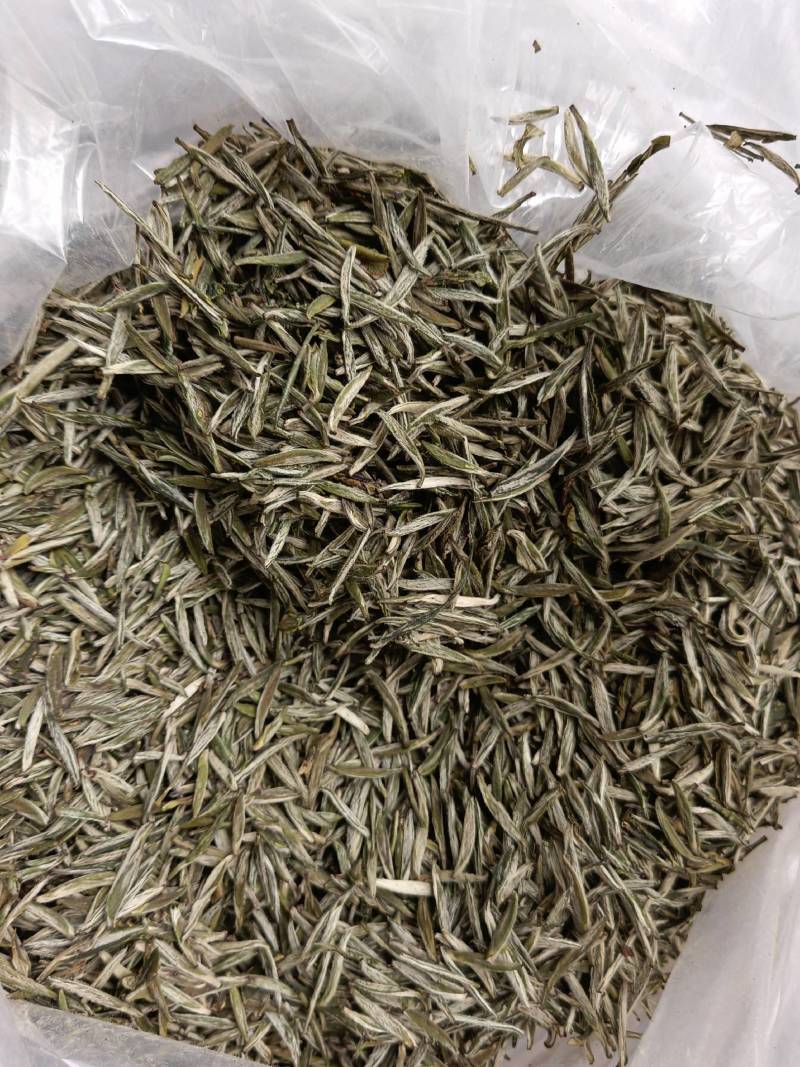 明前茶