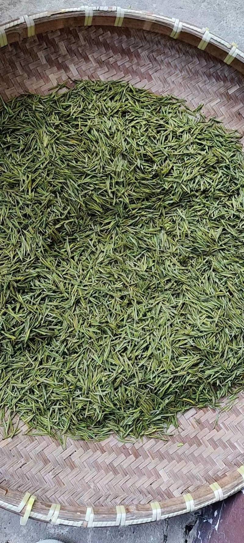 明前茶