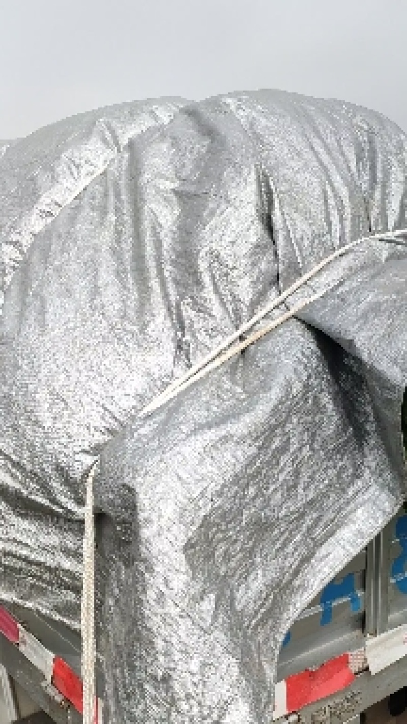 华州红叶香莴笋，可大量装毛笋，可打捆，以质论价，欢迎来电