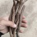 内蒙京赤芍，含量高，个头均匀，全干货