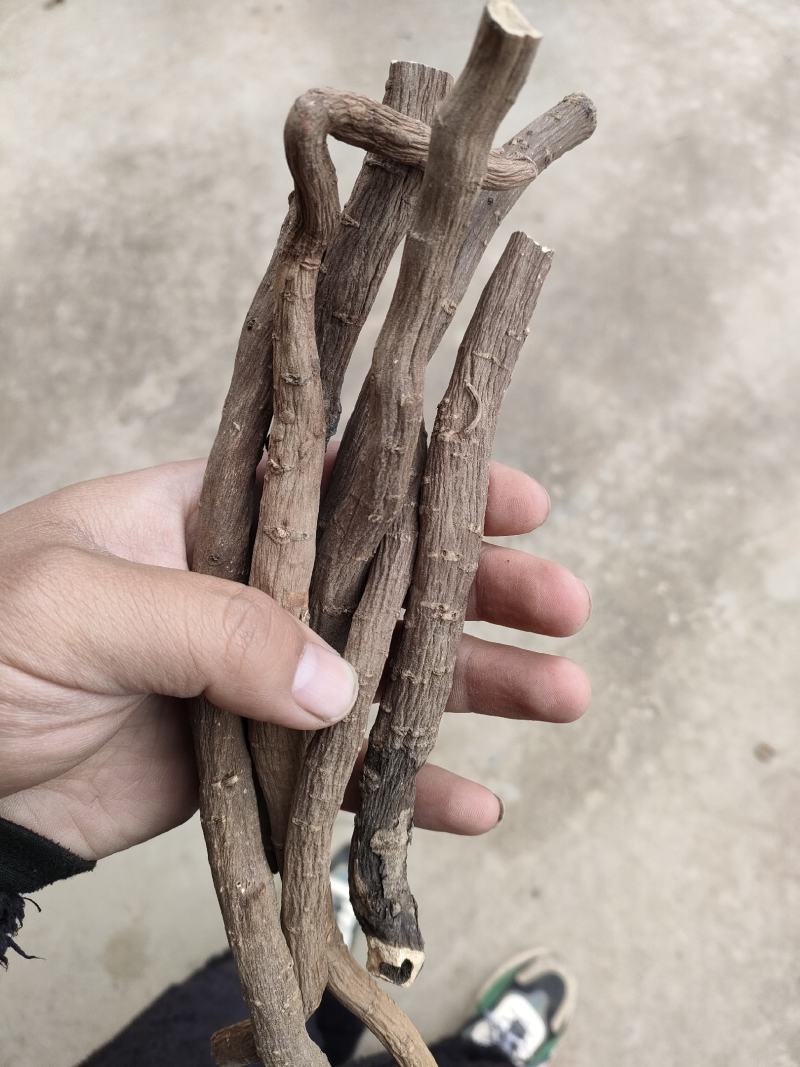 内蒙京赤芍，含量高，个头均匀，全干货