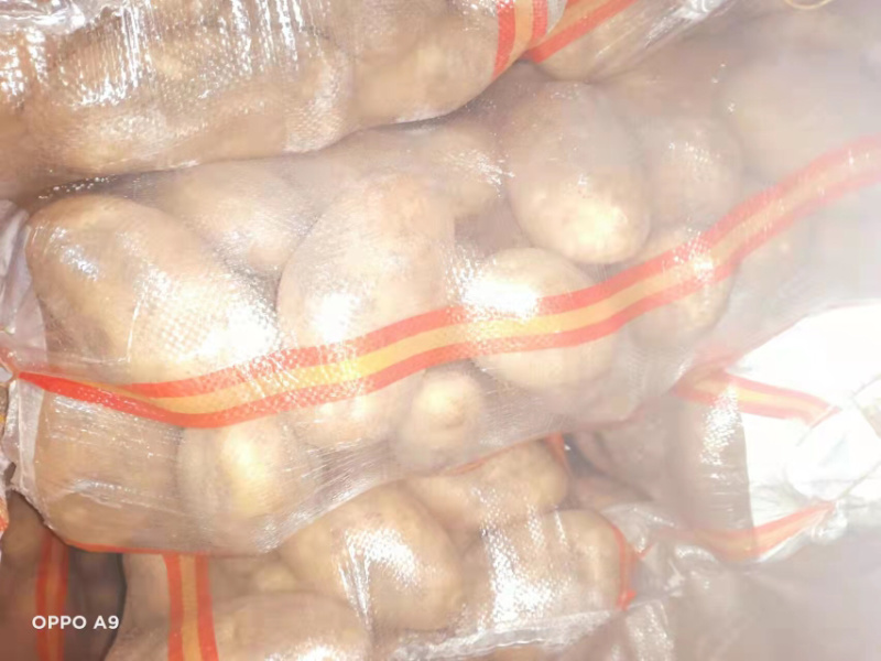 新疆本地货源更新日期3月23号☁️晴朗☀️