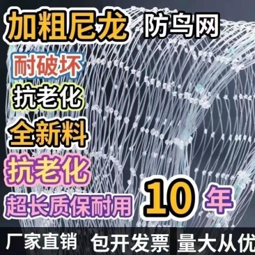 防鸟网樱桃谷子枸杞果园鱼塘青蛙泥鳅聚乙烯尼龙网防鸟专用