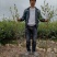 油茶苗，湘林210二年大杯苗，产地直发，现挖现卖。