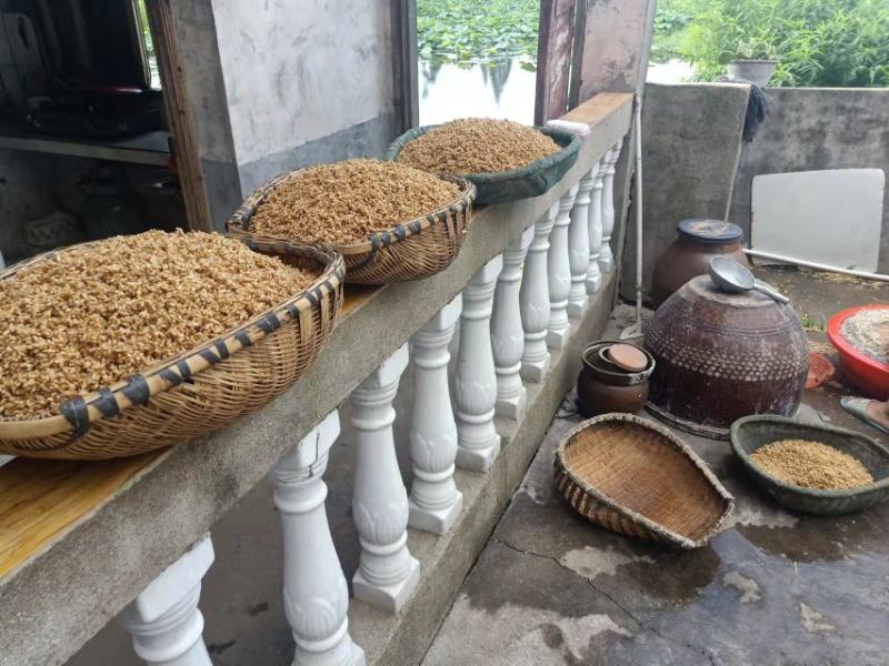 【好货联盟】湖北农家风味自制小麦酱保质保量，月销万件