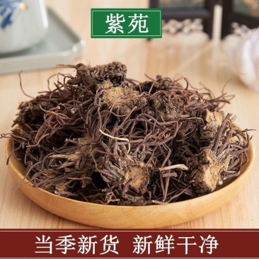 紫菀苗,一手货源,产地直供,欢迎进店选购