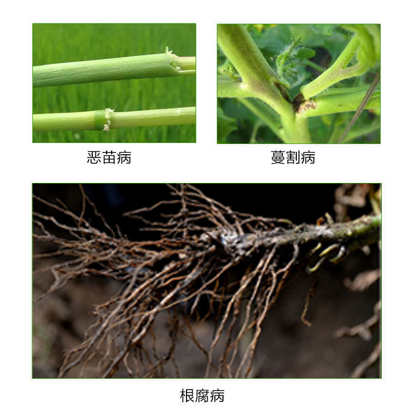 30%甲霜恶霉灵苗期立枯病根腐病死苗烂根杀菌剂