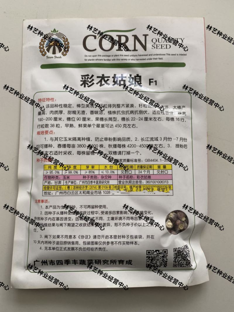 彩衣姑娘玉米种子彩甜糯玉米种籽种苗农家大田园庭院水果玉米