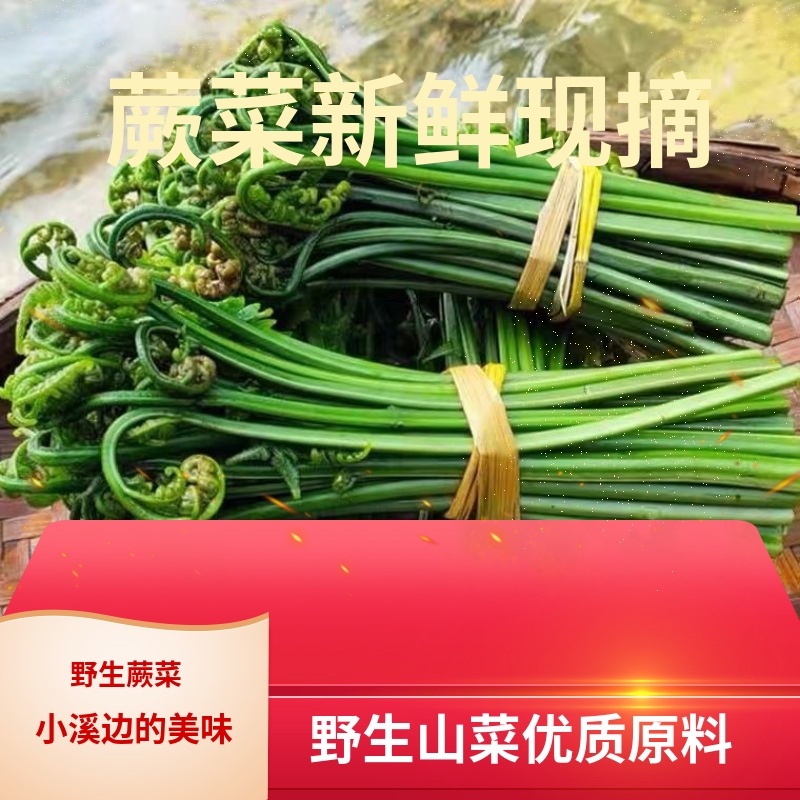 蕨菜大量上市，味道鲜香、美味可口