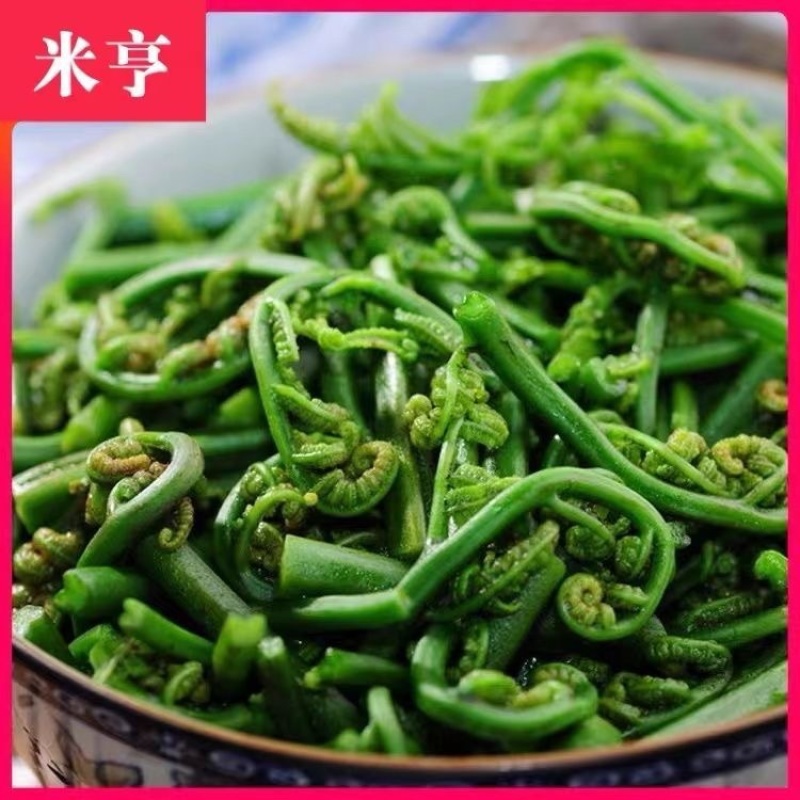 蕨菜大量上市，味道鲜香、美味可口