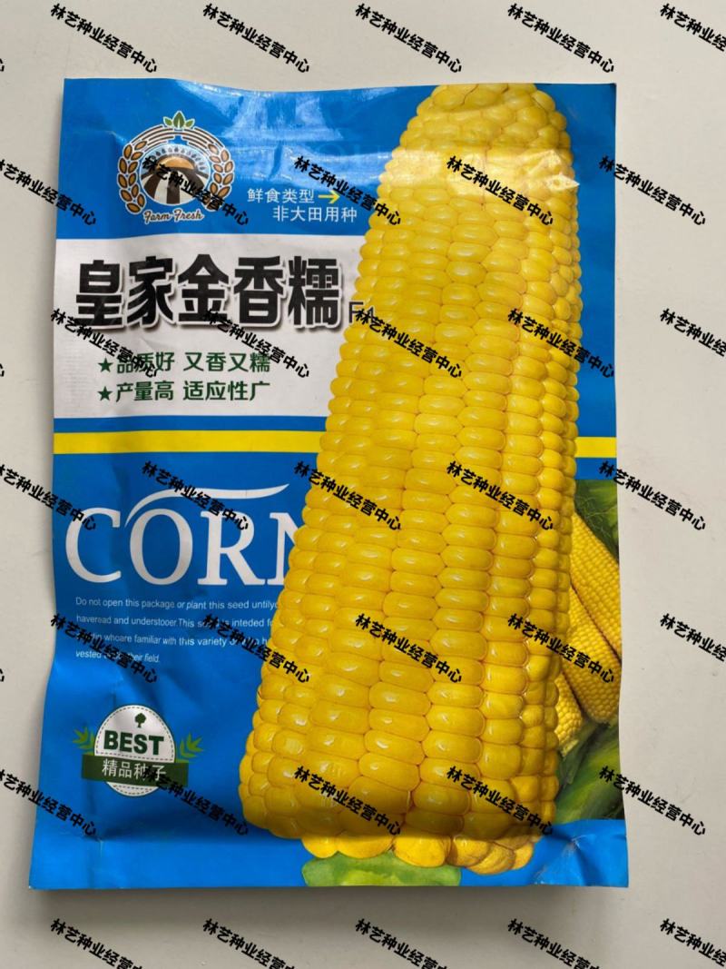 皇家金香糯玉米种子香甜糯黄玉米种籽水果玉米皮薄化渣春夏播