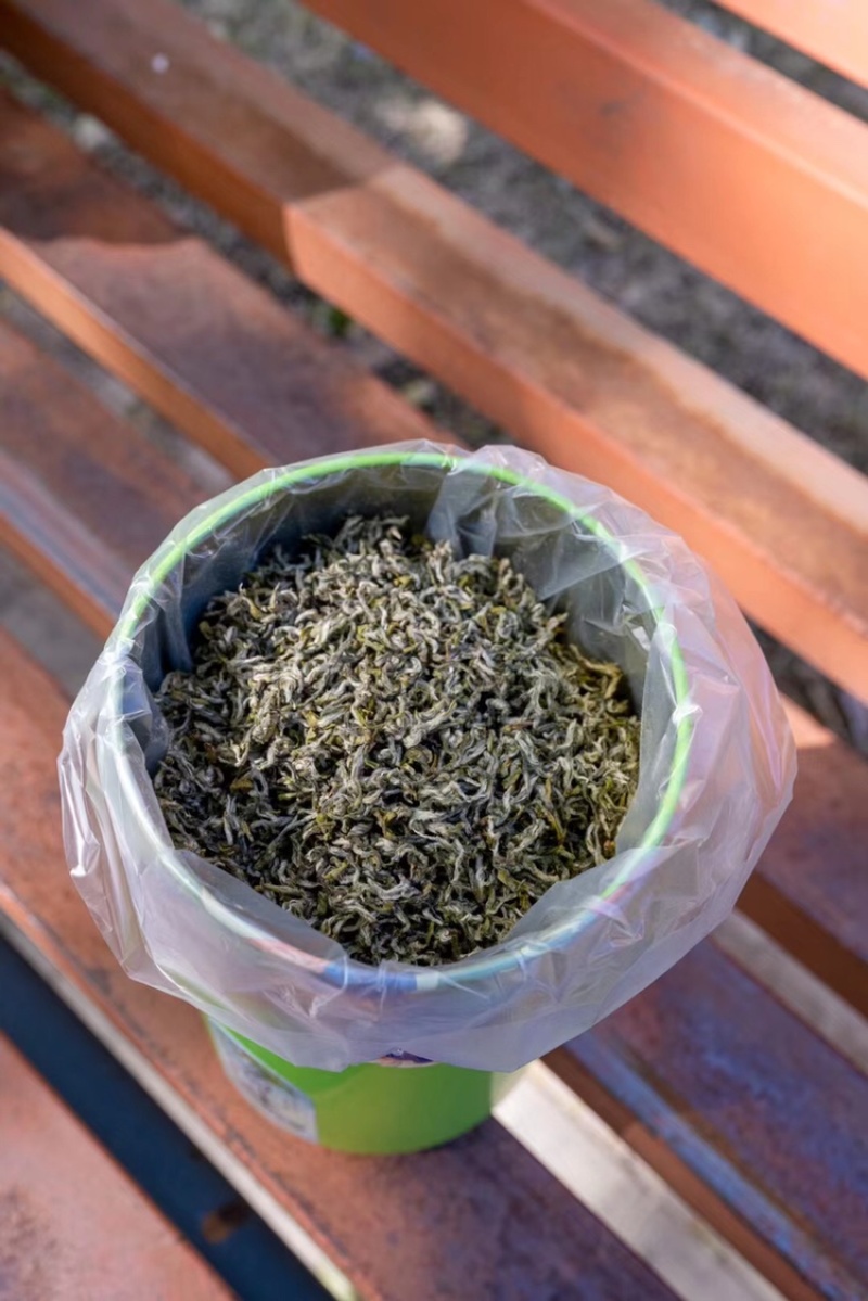 2025新茶碧螺春明前春茶高山茶全芽清醇鲜爽特级绿茶