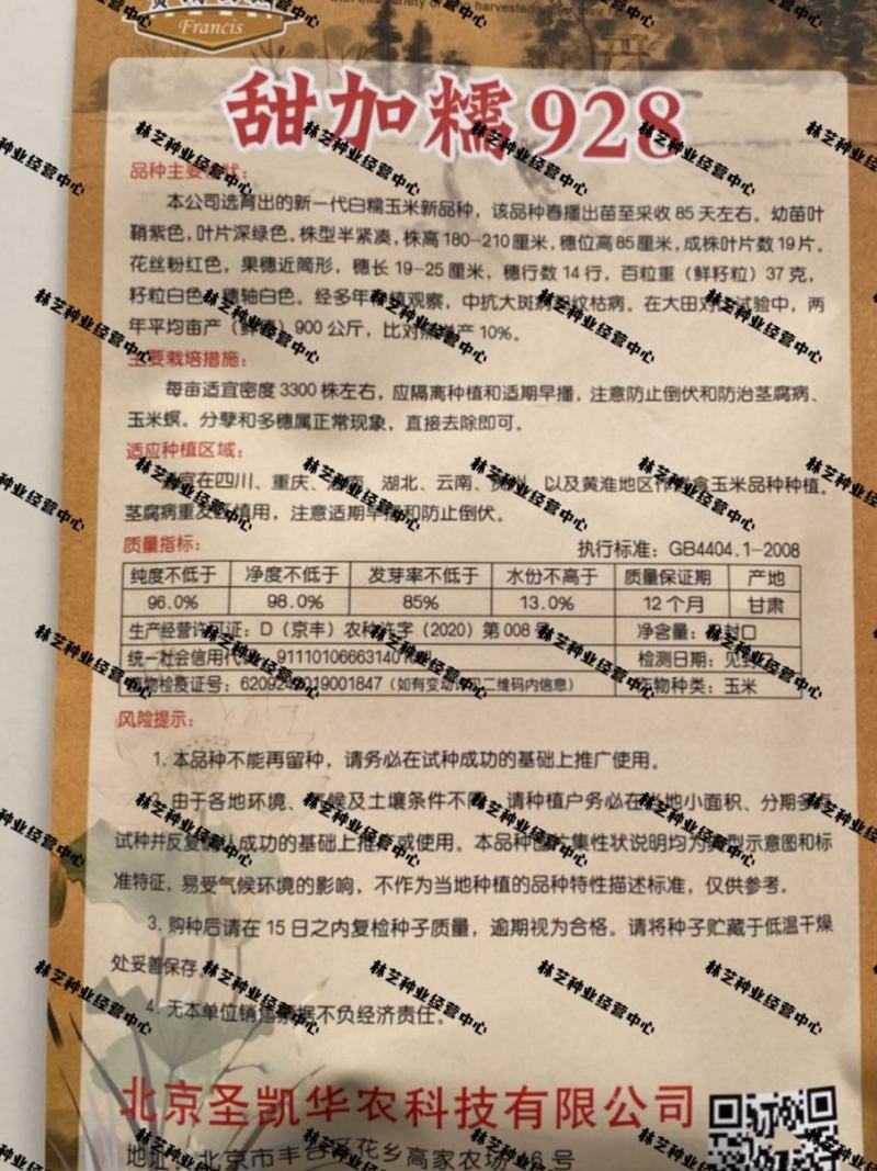 甜加糯928玉米种子早熟高产鲜食玉米种籽白色粒糯玉米种