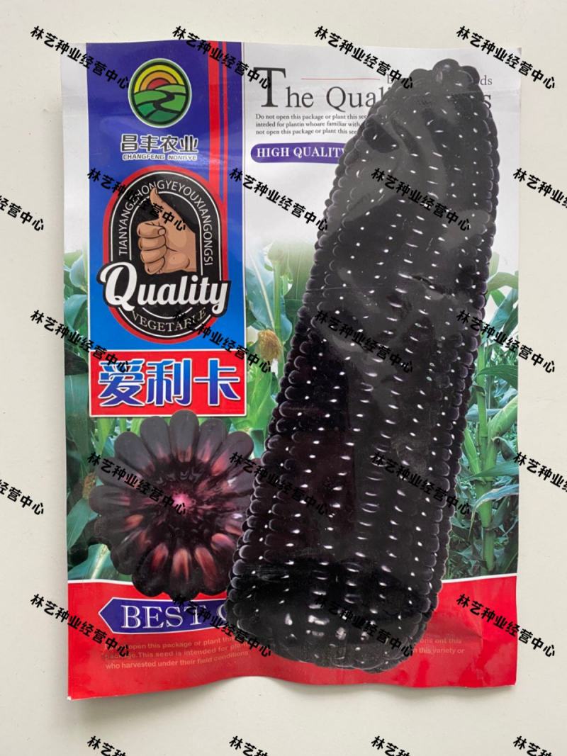 黑甜糯玉米种子黑糯水果玉米黑玉米种籽非转基因玉米种子蔬菜