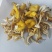 食用菌，干蘑菇，干鸡油菌，鸡油黄菌，黄金菇，榆黄蘑