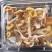 食用菌，干蘑菇，干鸡油菌，鸡油黄菌，黄金菇，榆黄蘑
