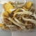 食用菌，干蘑菇，干鸡油菌，鸡油黄菌，黄金菇，榆黄蘑