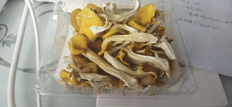食用菌，干蘑菇，干鸡油菌，鸡油黄菌，黄金菇，榆黄蘑
