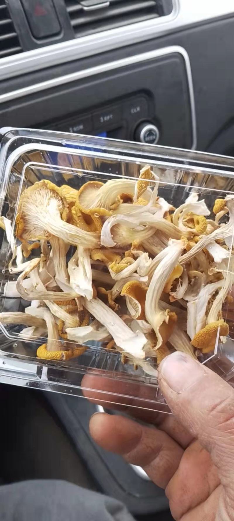 食用菌，干蘑菇，干鸡油菌，鸡油黄菌，黄金菇，榆黄蘑