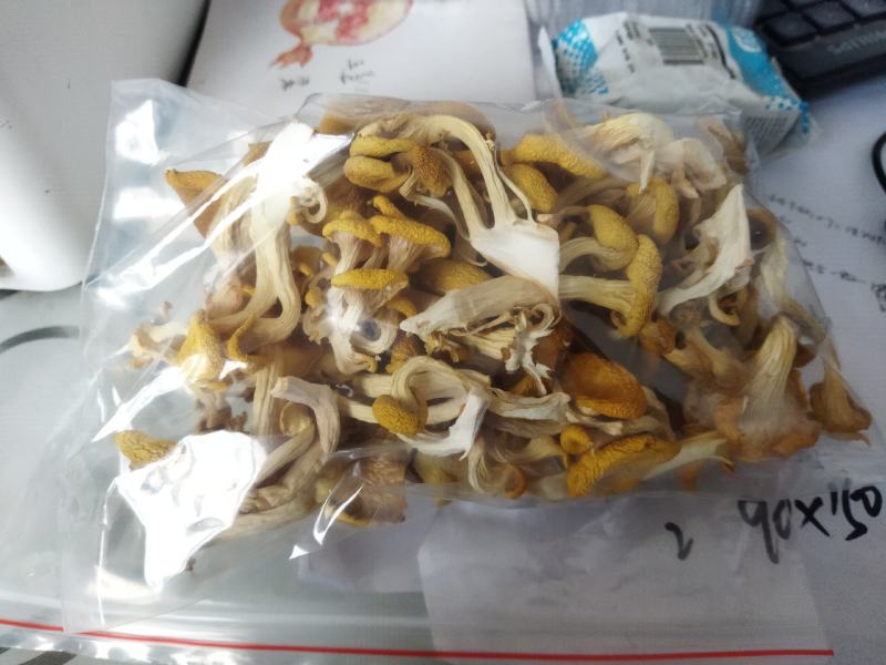 食用菌，干蘑菇，干鸡油菌，鸡油黄菌，黄金菇，榆黄蘑