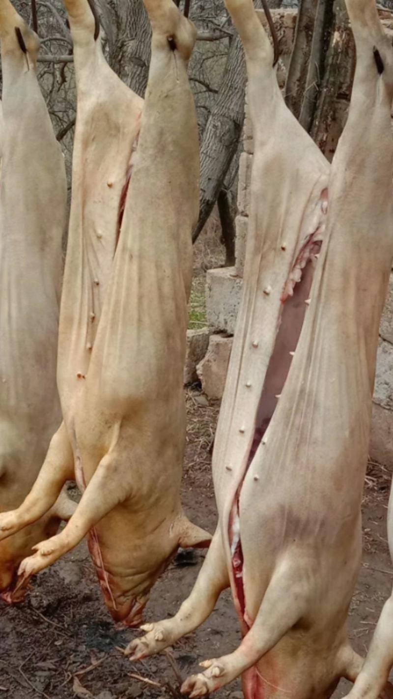 蕨麻猪肉