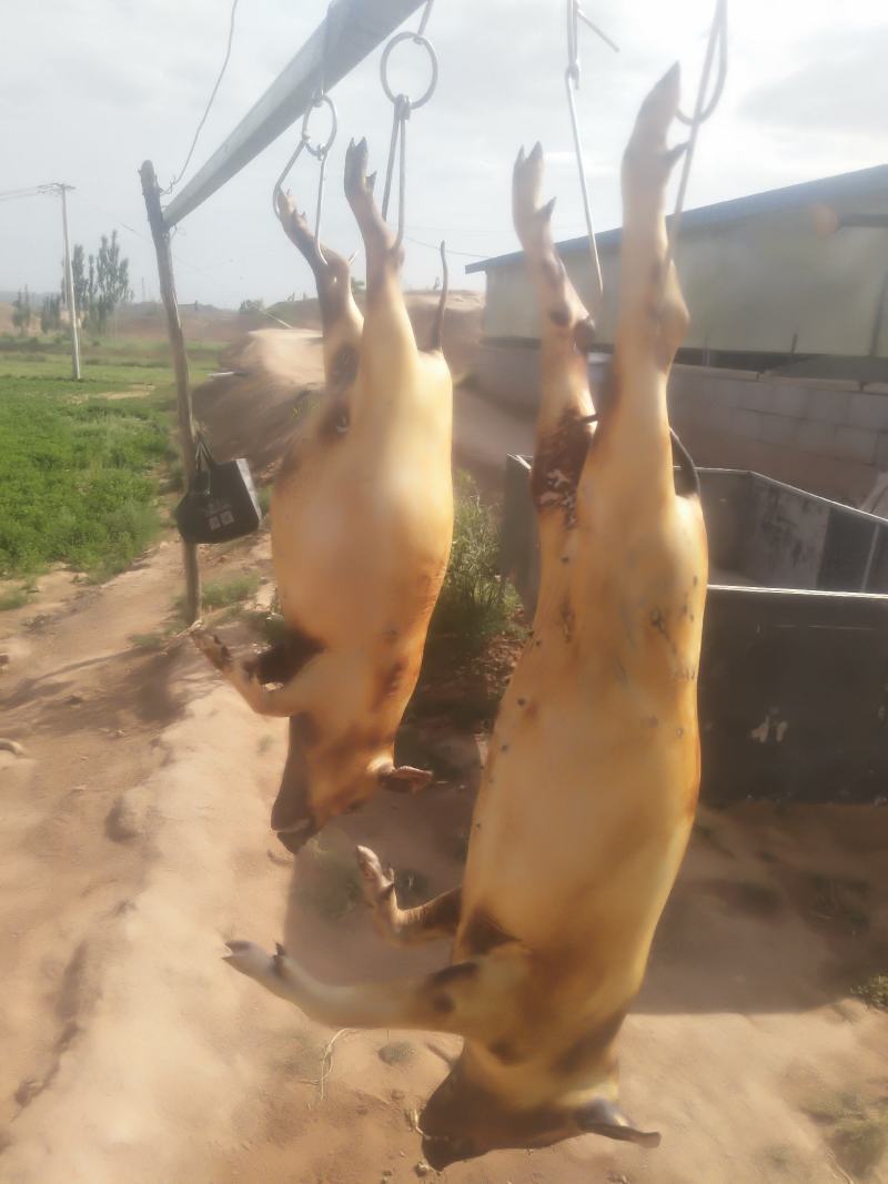 蕨麻猪肉
