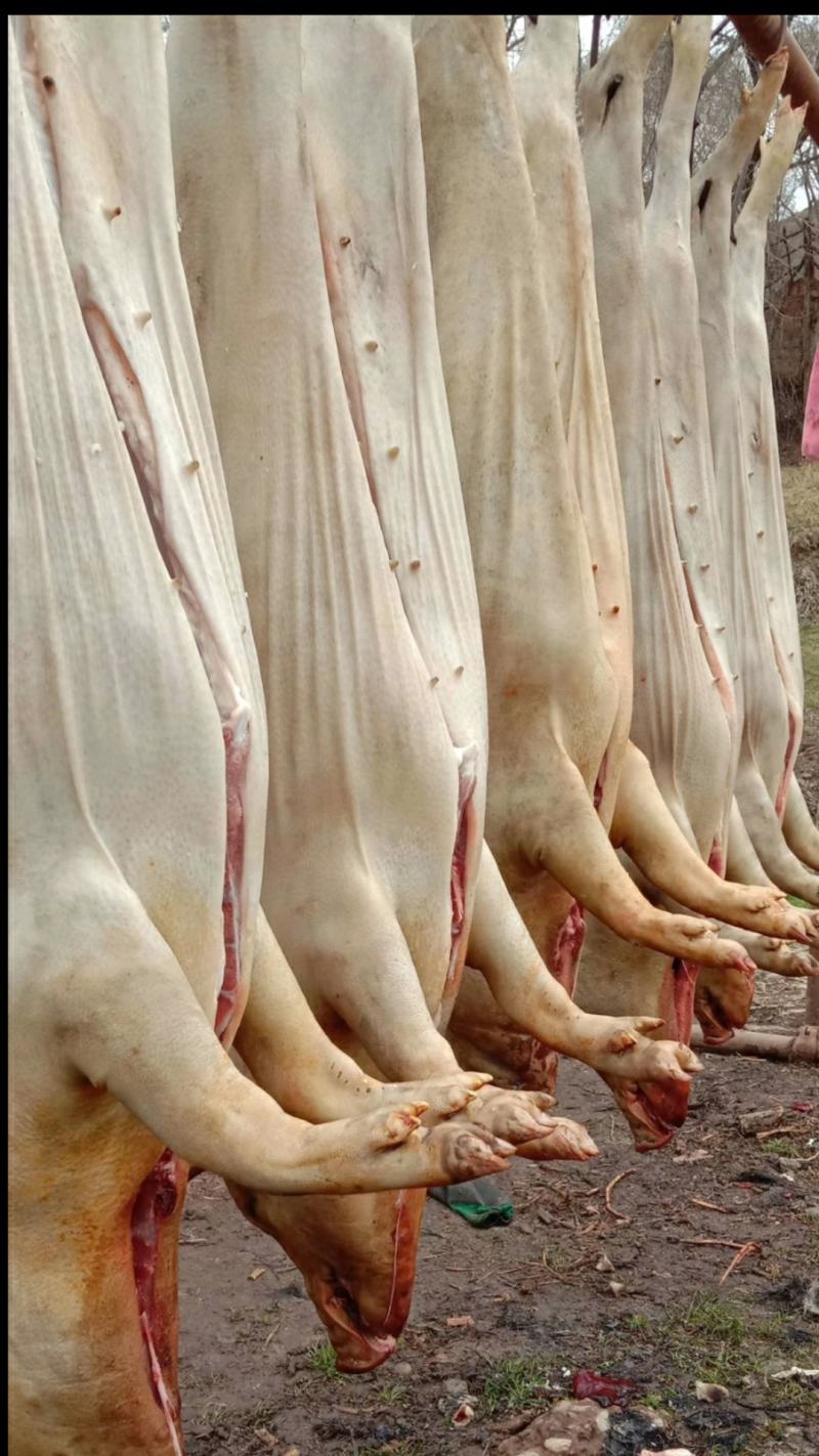 蕨麻猪肉