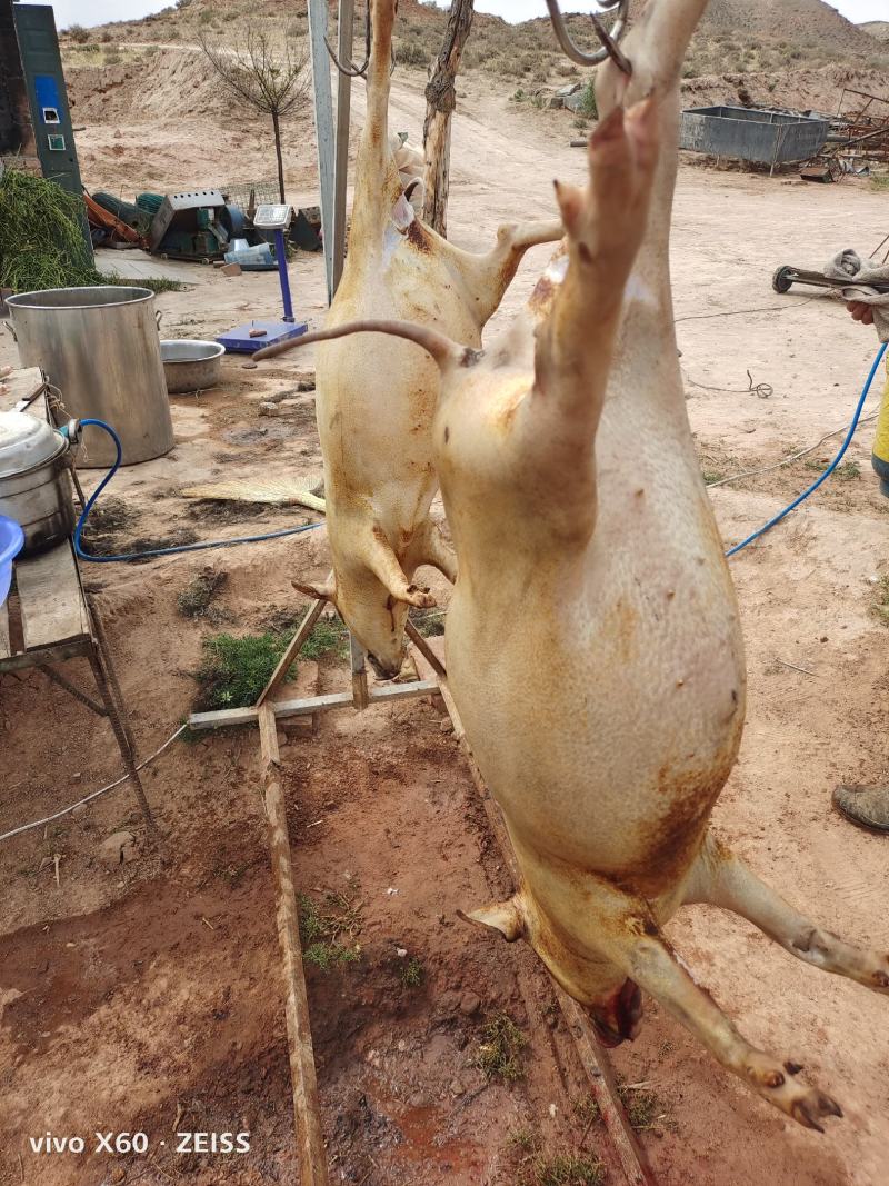 蕨麻猪肉