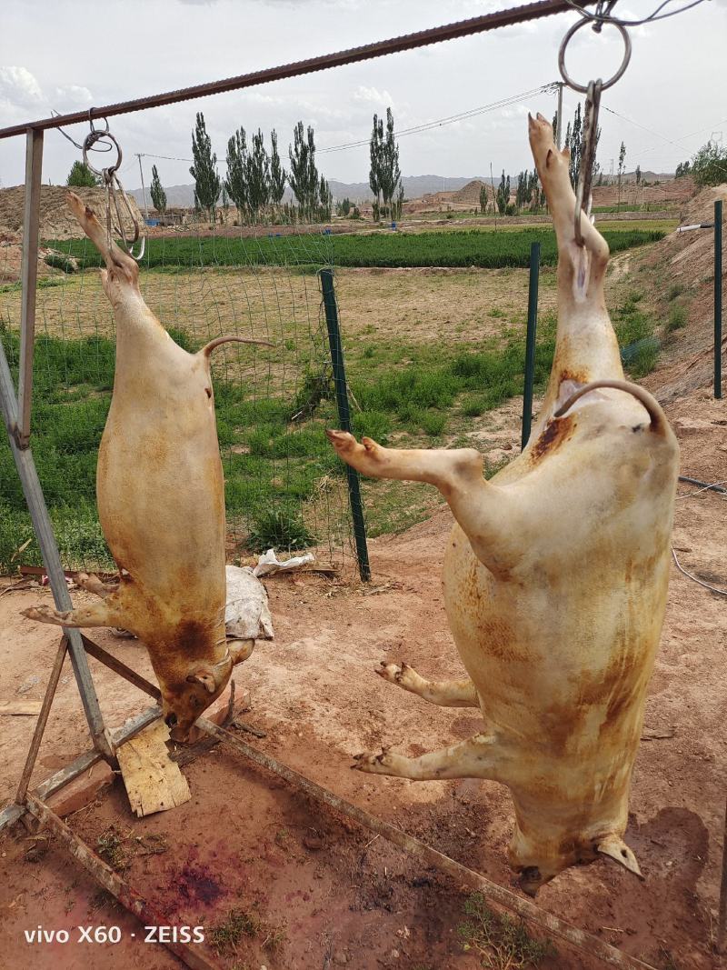 蕨麻猪肉