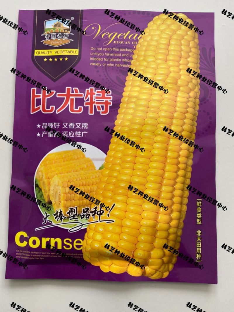 比尤特玉米种子大全种子批发高产抗旱矮杆大棒玉米农科院