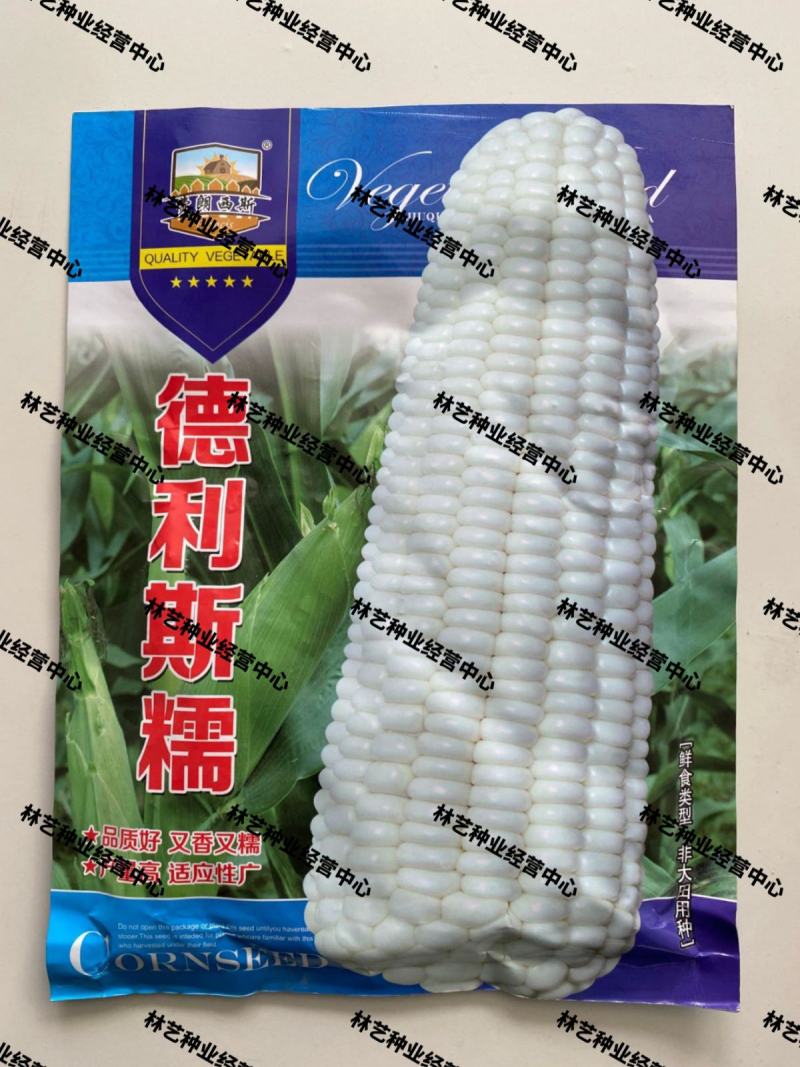 德利斯糯白糯玉米种子高产四季播白玉米非转基因农家庭园玉米