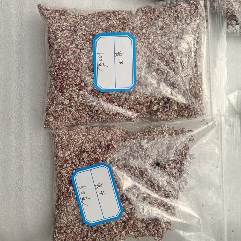 仙人掌胭脂虫养殖胭脂虫种苗供应