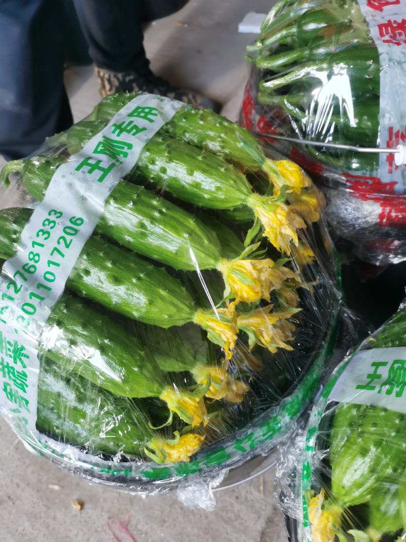 这黄瓜谁敢比，1.7