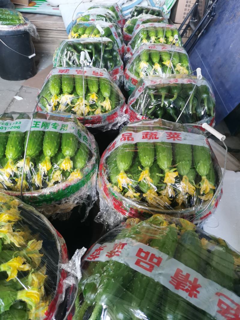 这黄瓜谁敢比，1.7