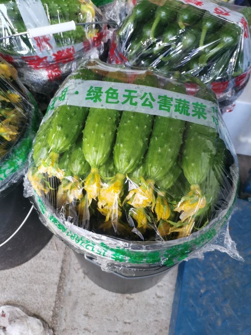 这黄瓜谁敢比，1.7