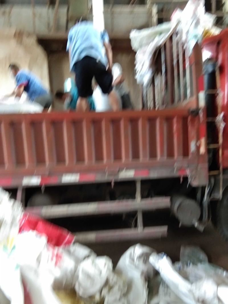 油菜籽
