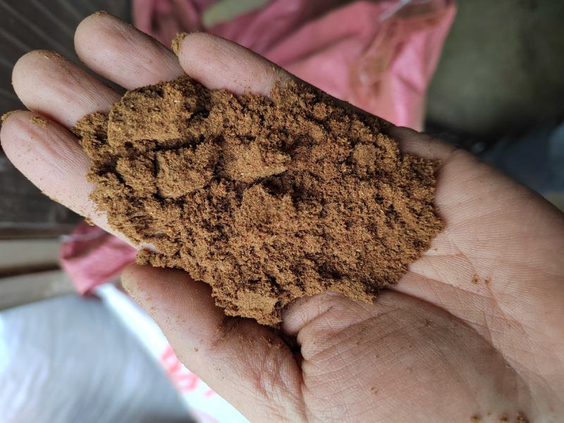 精品八角粉货源充足颜色红味道美一级八角粉，可视频