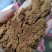 精品八角粉货源充足颜色红味道美一级八角粉，可视频