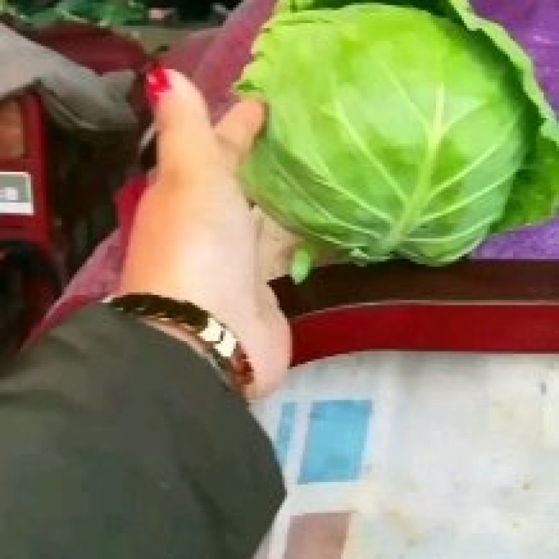 邯郸甘蓝
