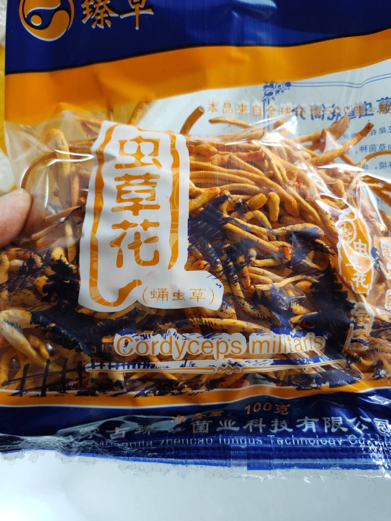 内蒙古产地小包装虫草花100克新鲜条形均匀保质期长