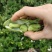 欢迎来恰谈，包你满意