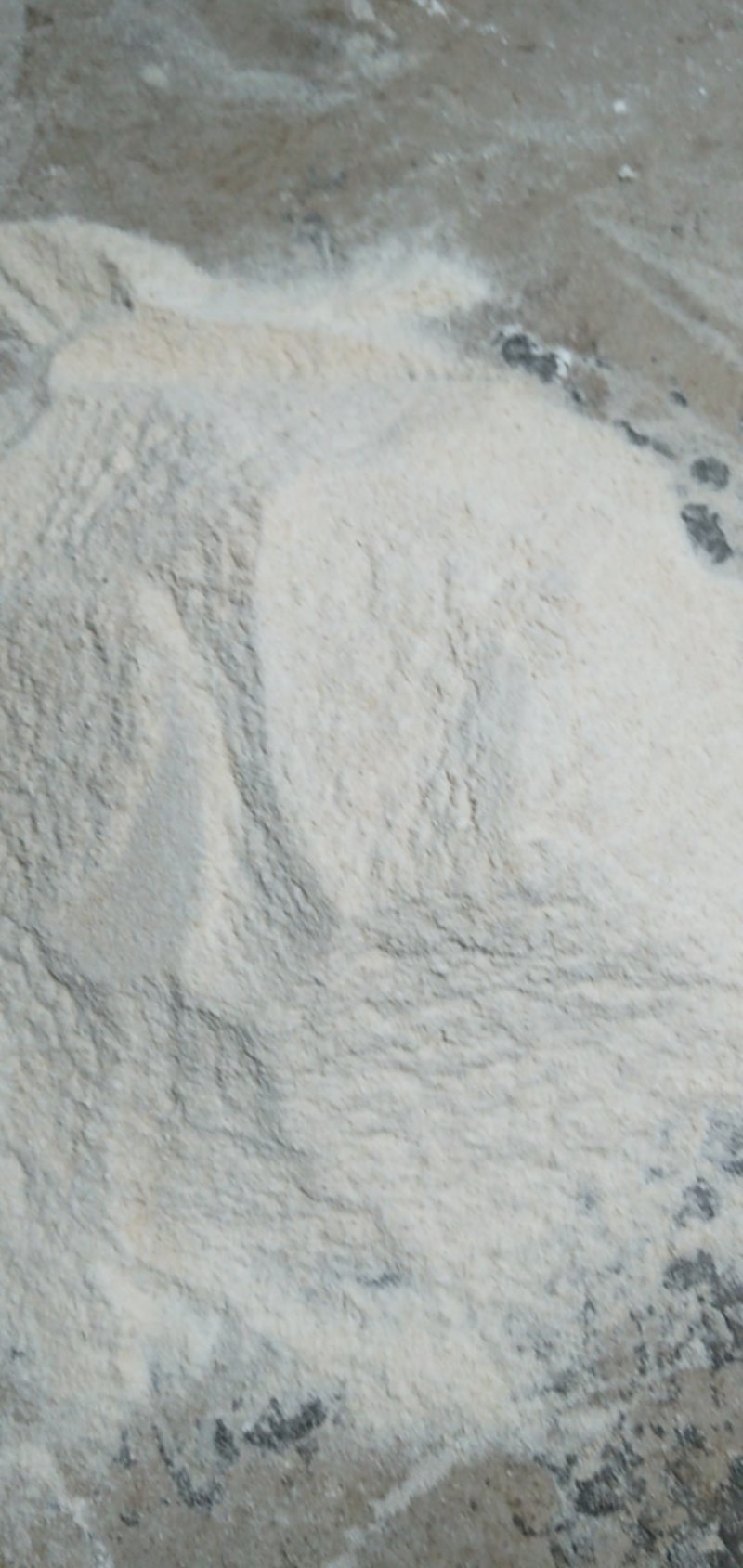 烘干豆渣