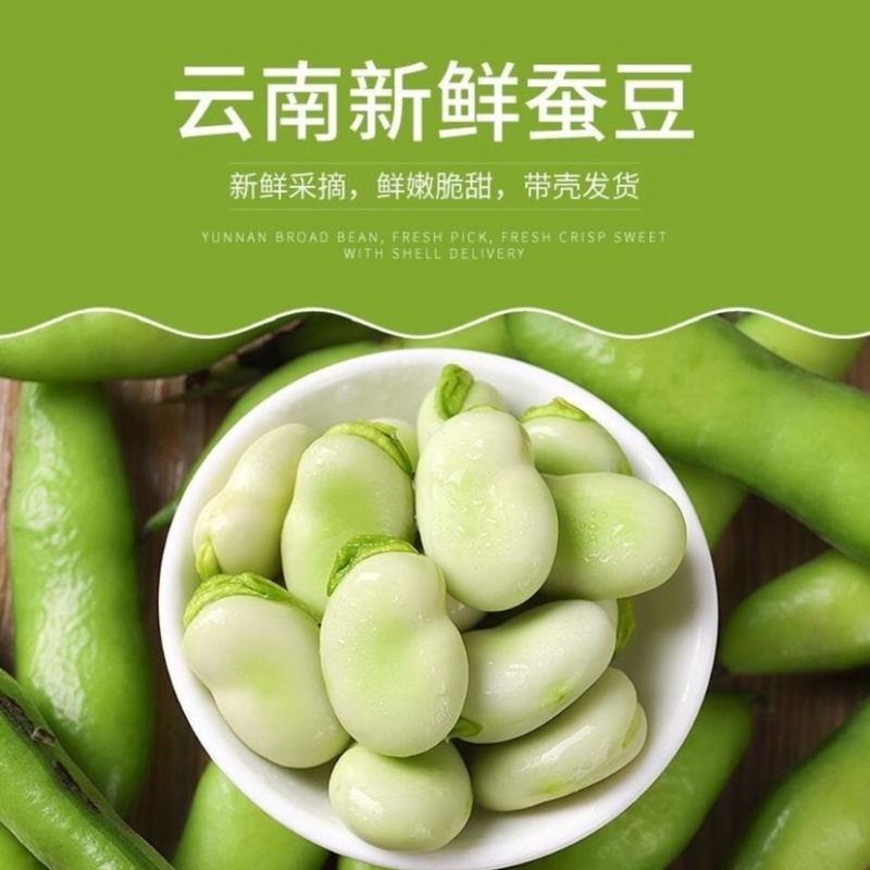 曲靖新鲜蚕豆/胡豆上市了，有需要的老板联系了