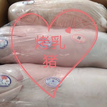 烤乳猪，香酥不腻，量大从优，可视频看货，欢迎来电咨询