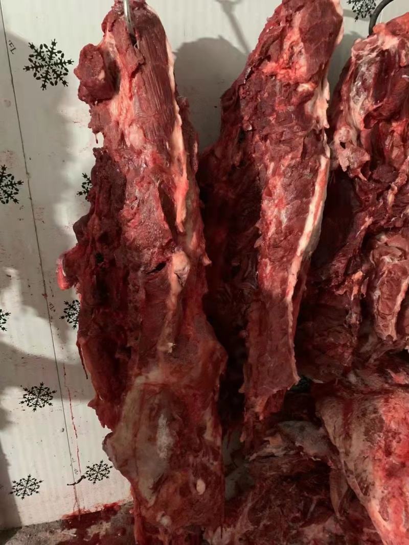 牛肉生牛肉鲜牛肉冷冻牛肉国产牛肉