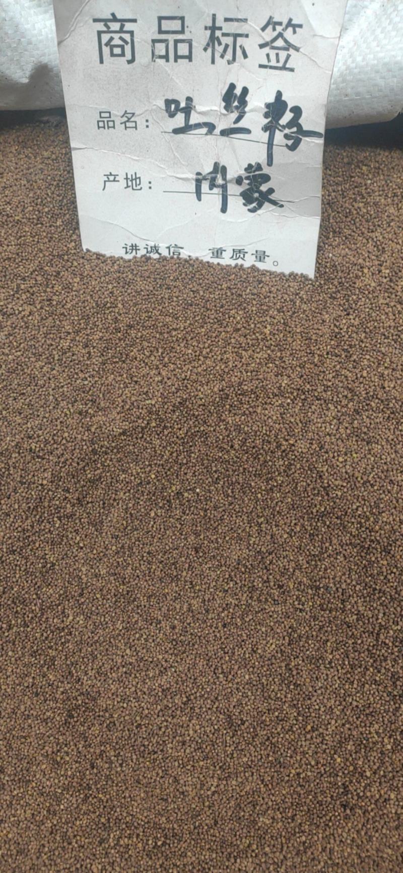 菟丝子干货内蒙产地菟丝子量大从优欢迎选购！